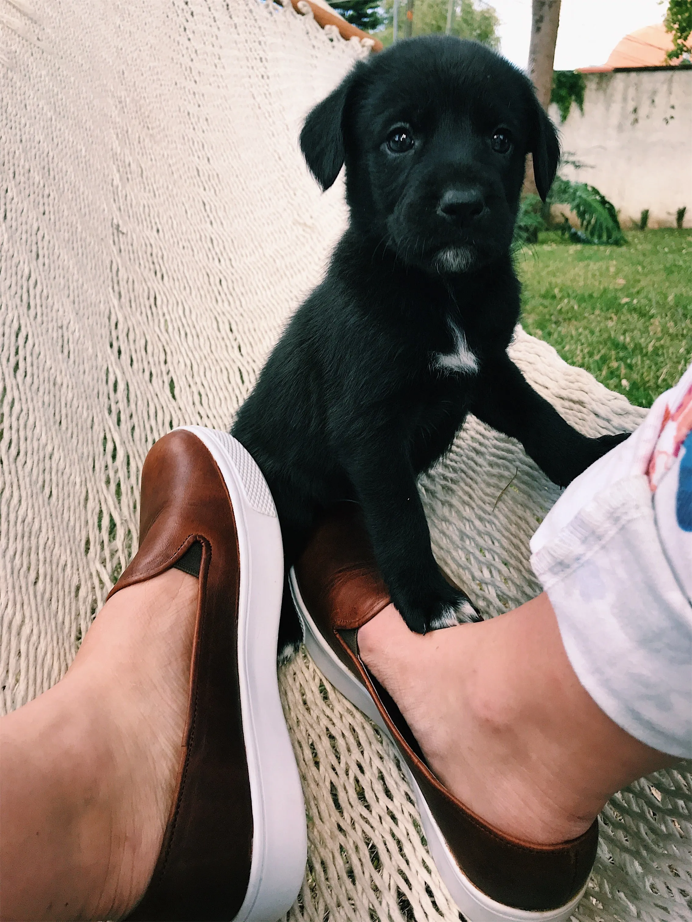 Brown Leather Adventure Sneaker