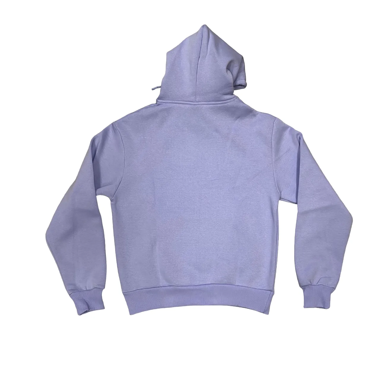 Dolly Noire men's sweatshirt with hood and kangaroo pocket Classic Logo sw379-gq-06 purple