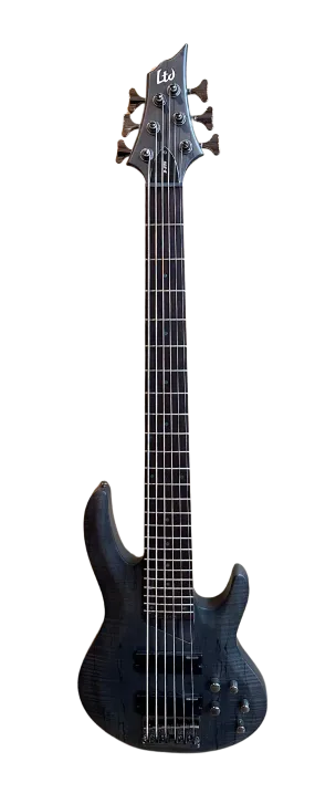 ESP LTD B-206 Bass Guitar