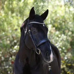 Highland Rolled Black Anatomical Snaffle Bridle