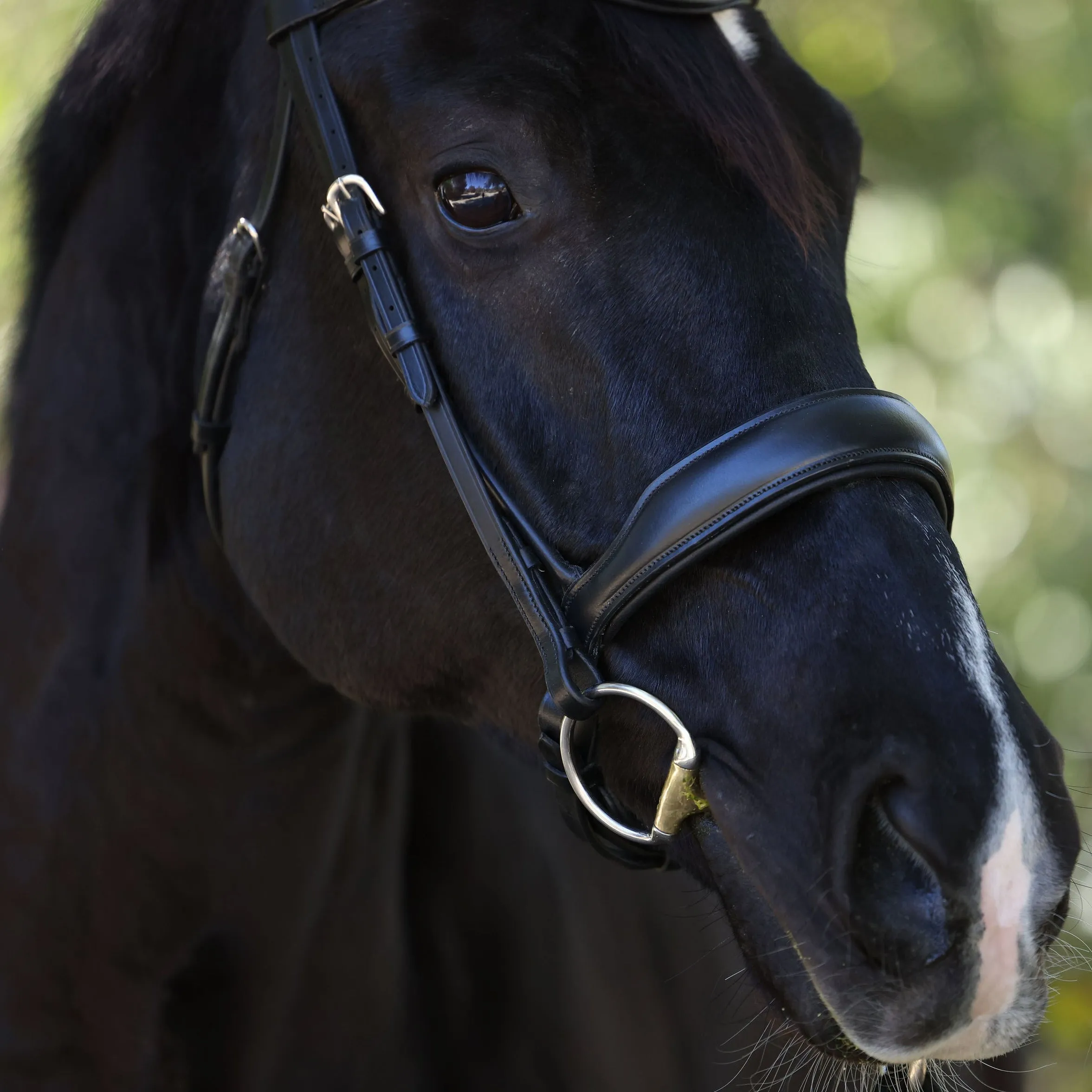 Highland Rolled Black Anatomical Snaffle Bridle