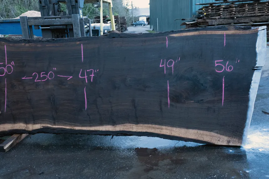 Oregon Black Walnut Slab 021021-04