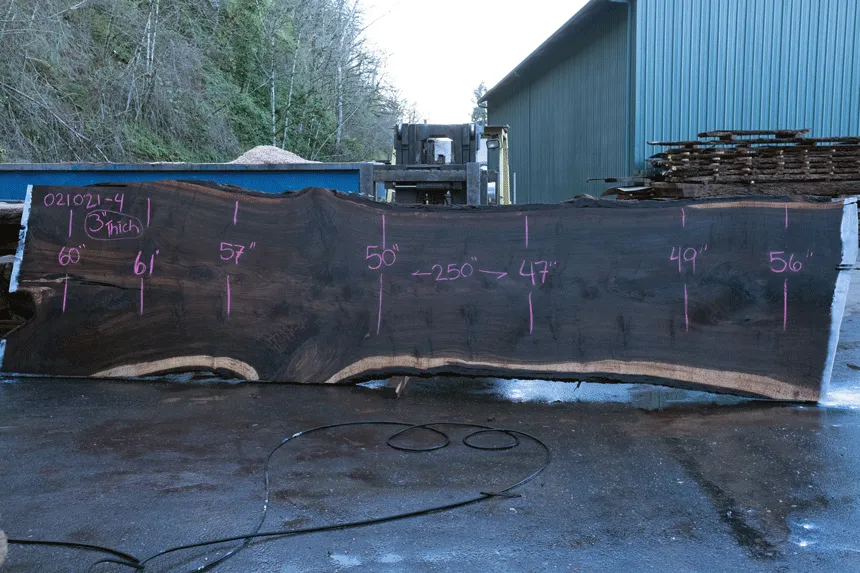 Oregon Black Walnut Slab 021021-04