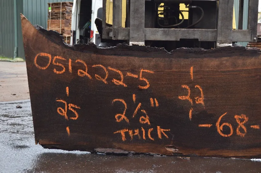 Oregon Black Walnut Slab 051222-05