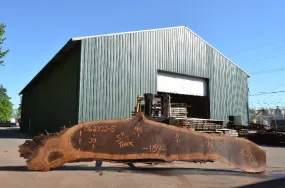 Oregon Black Walnut Slab 062322-05