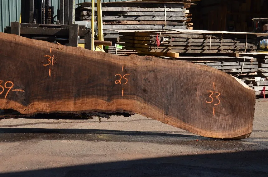 Oregon Black Walnut Slab 062322-05