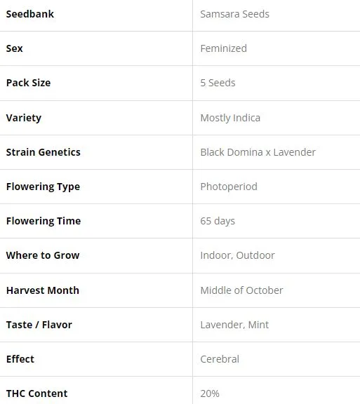 SEE023: Green Love Potion FEM 5 Seeds